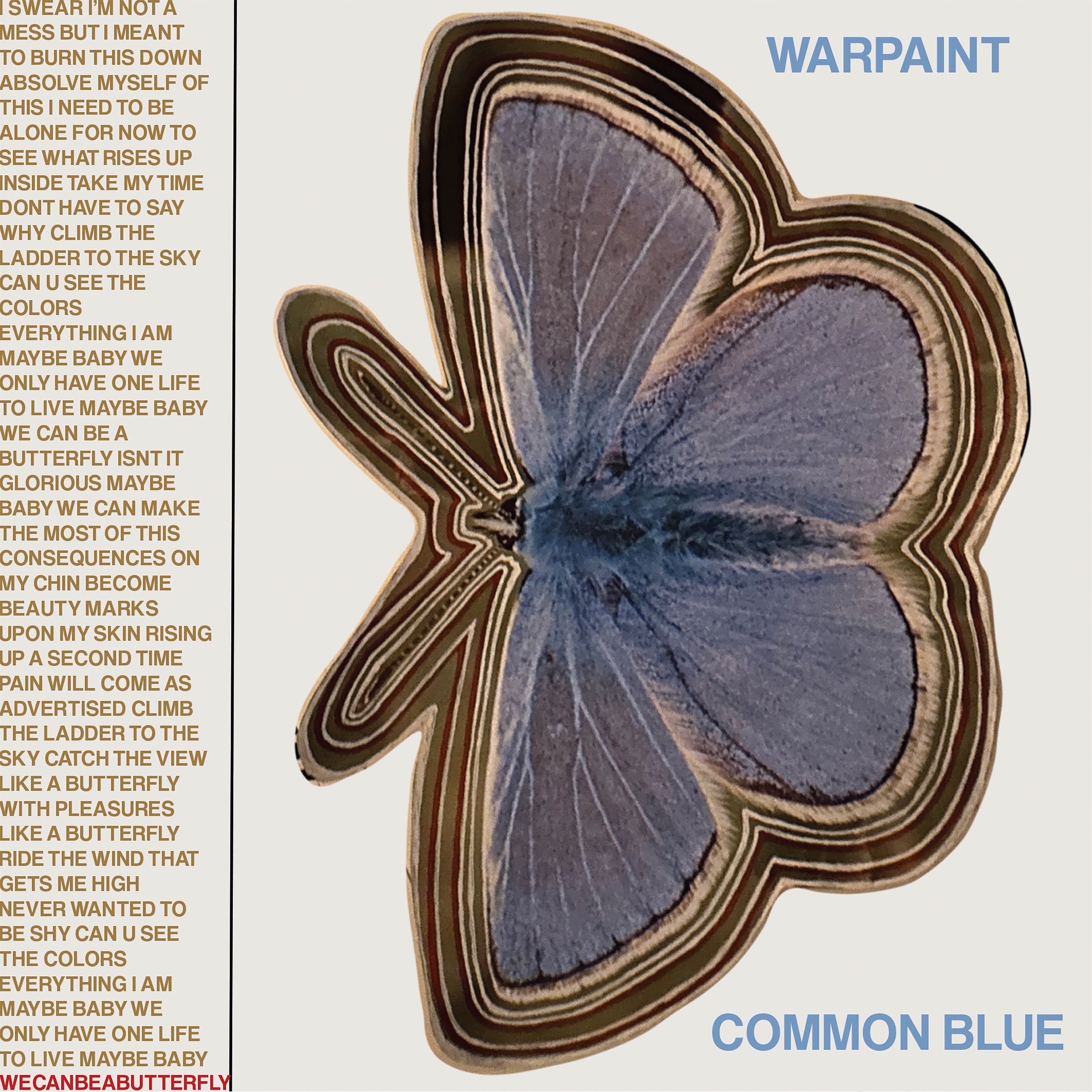 Common Blue/Underneath - 7