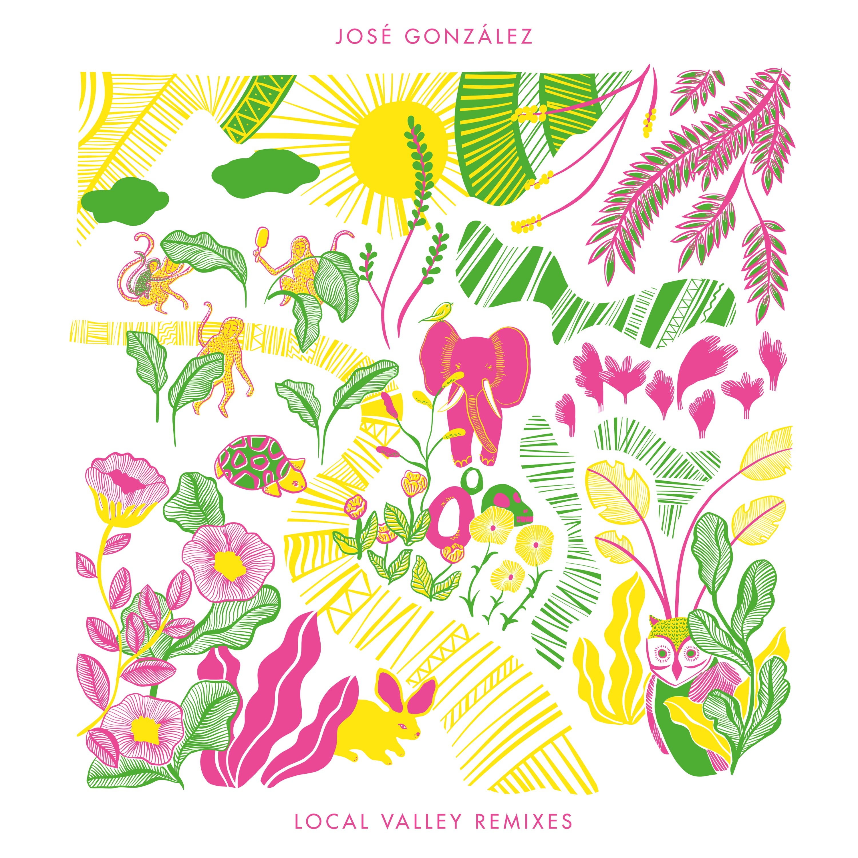 Local Valley Remixes - LP