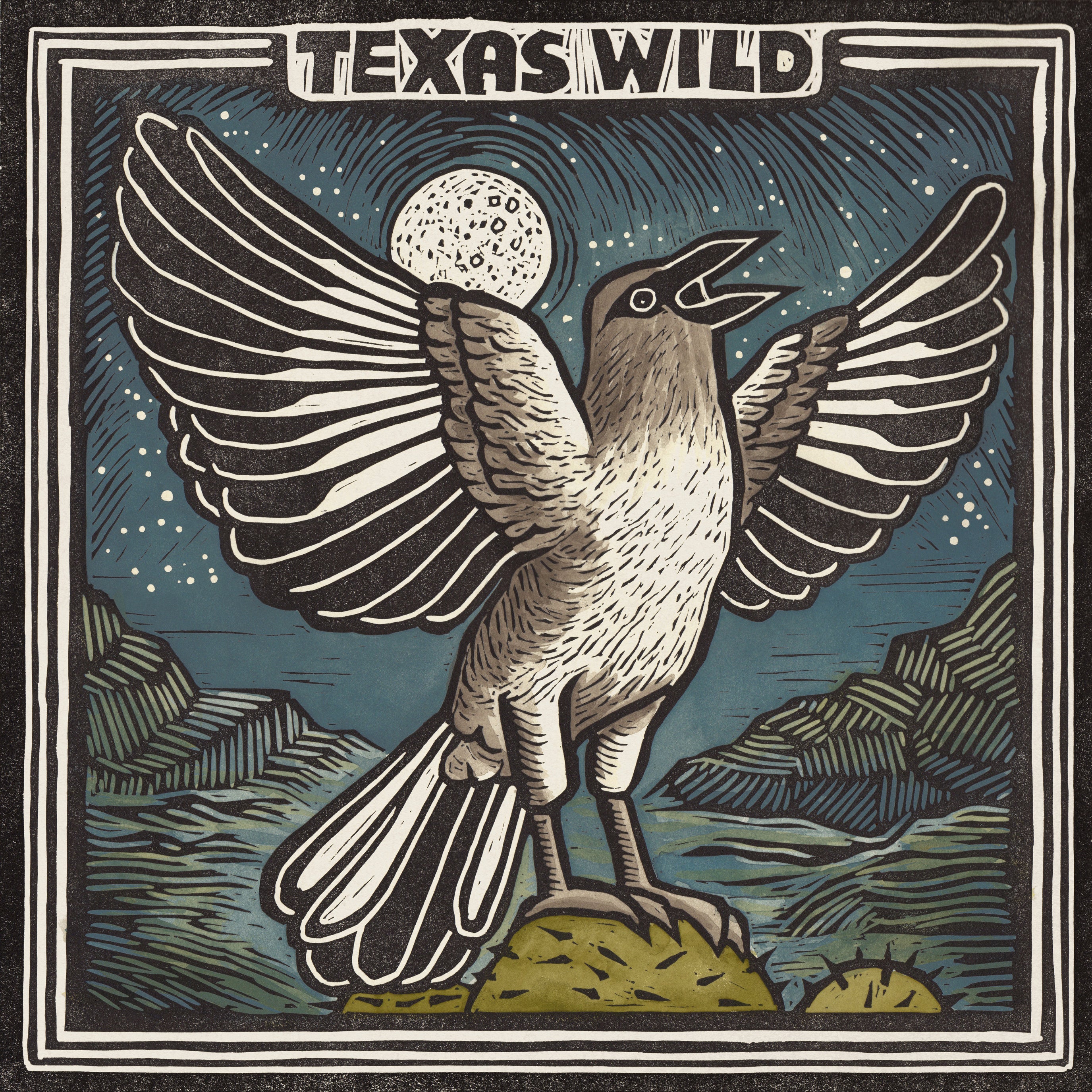 Texas Wild - LP