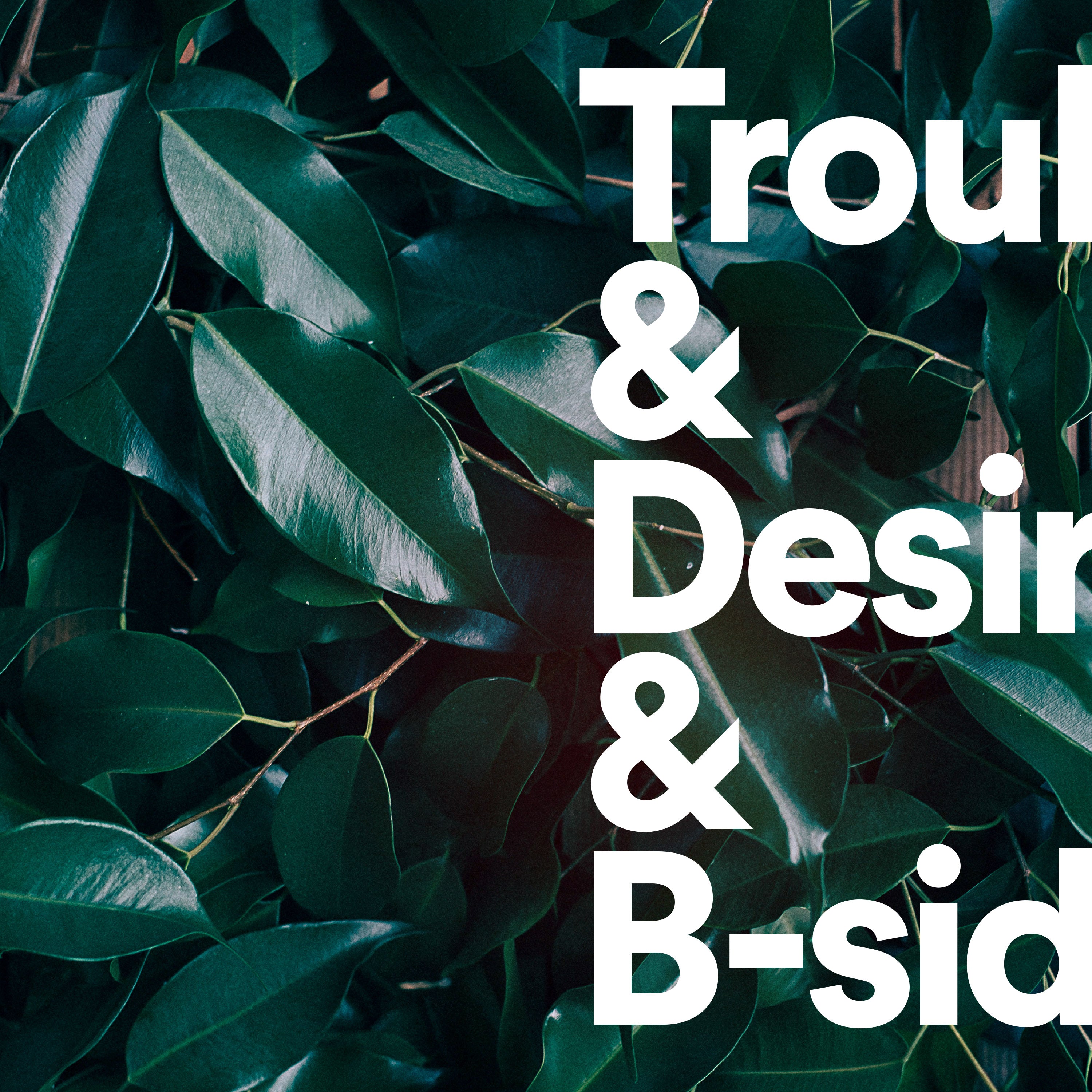 Trouble & Desire and B-sides - LP