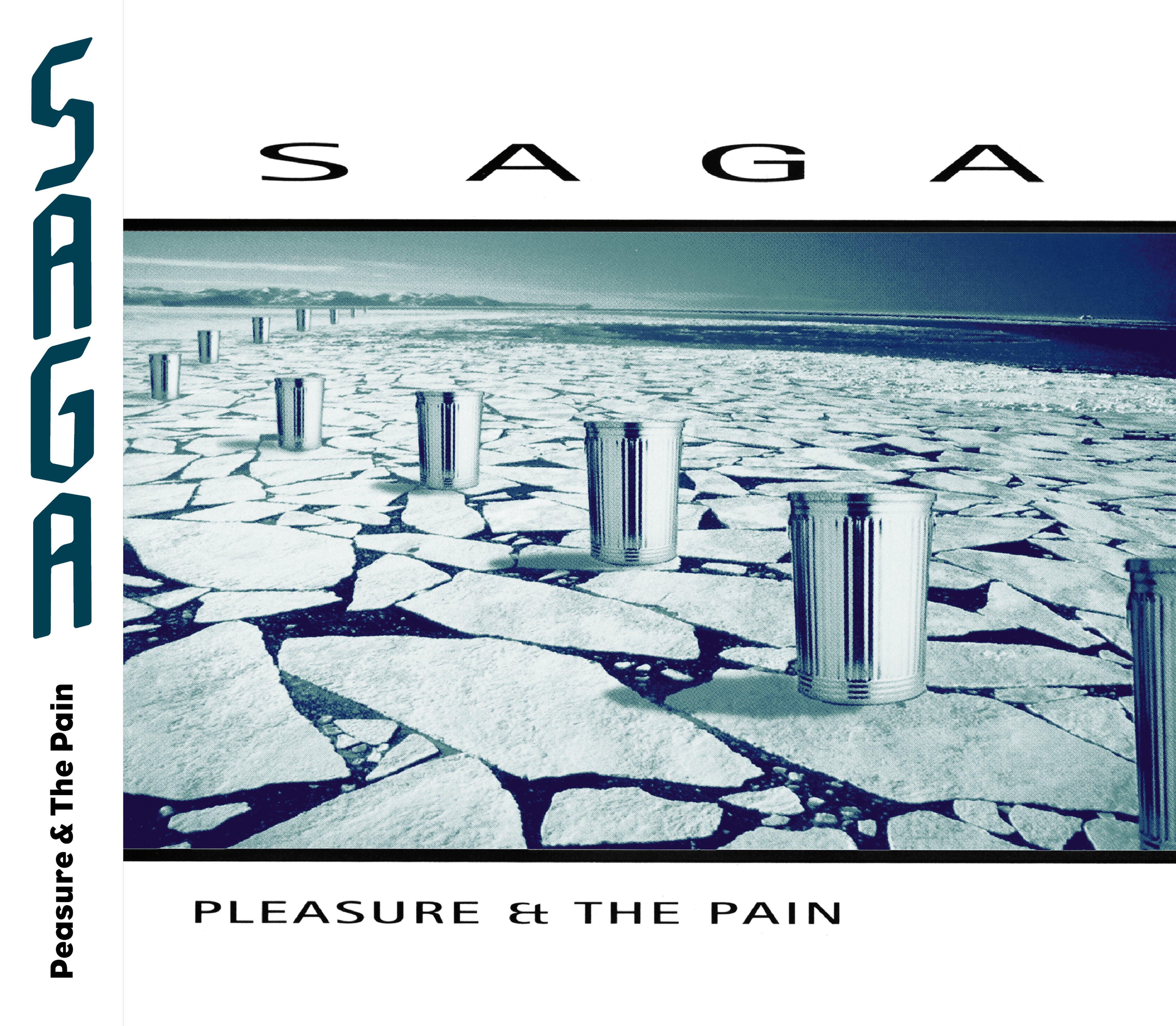 Pleasure & The Pain - CD