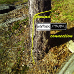 WintherStormer - Ground Connection (CD)